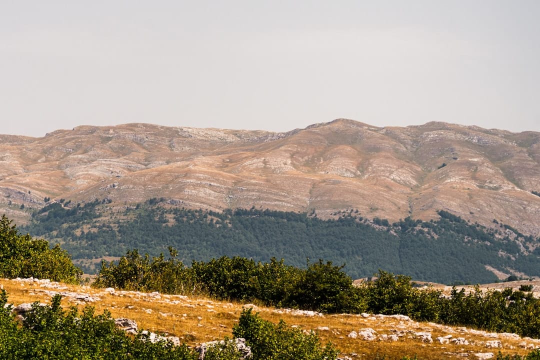 Netanyahu's UN Speech: QR Code Sparks Controversy