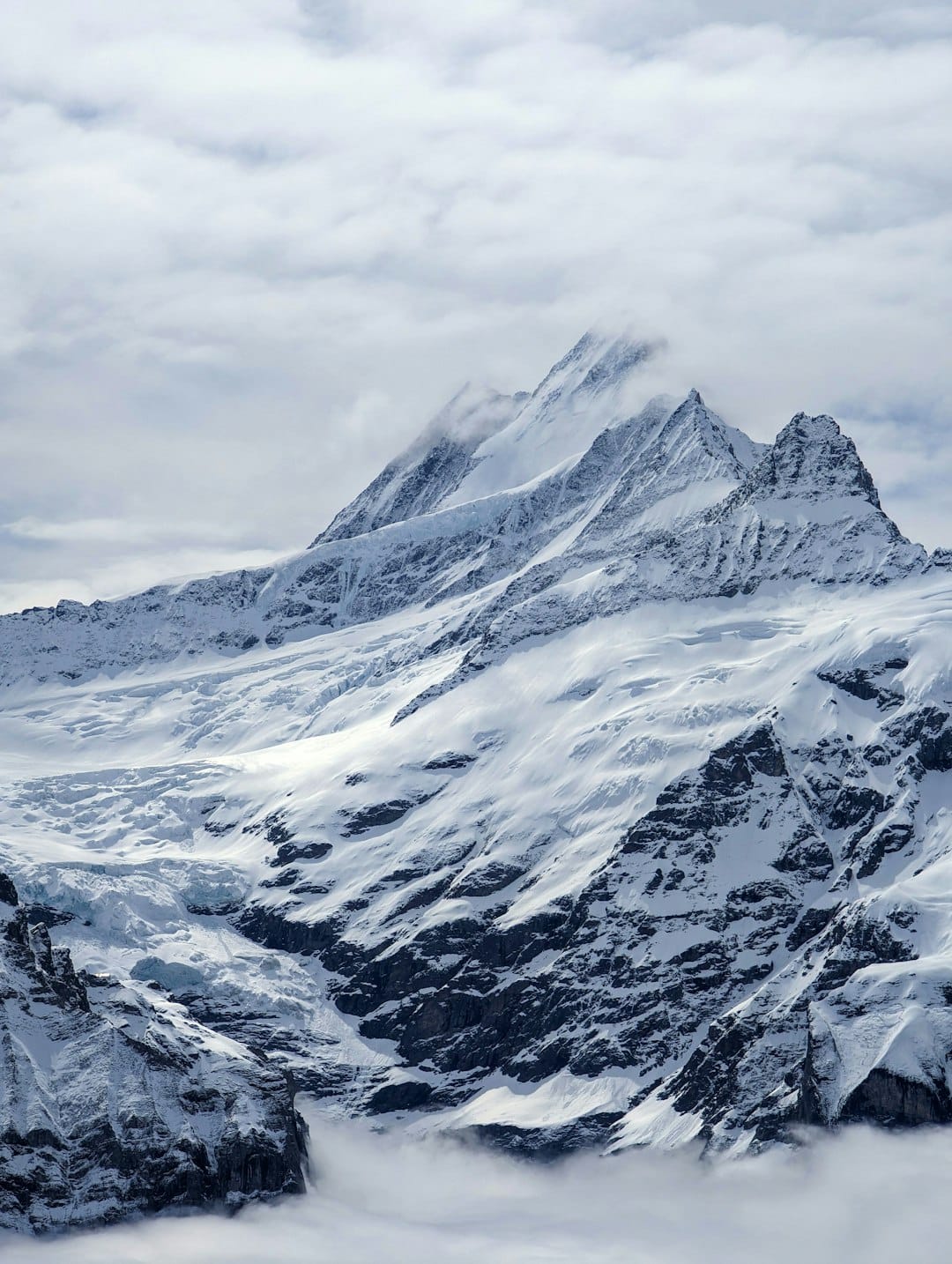 Suica and Pasmo to Introduce Shared QR-Code Payment System