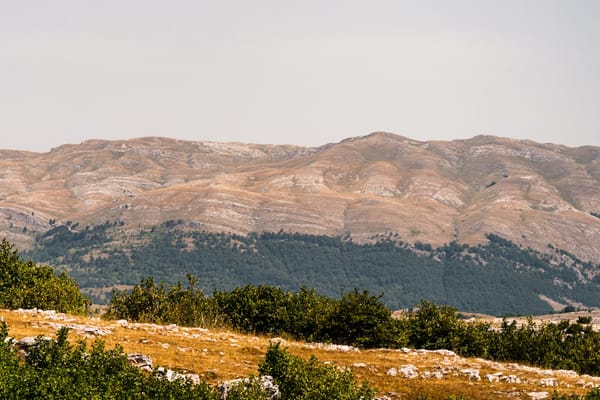 Netanyahu's UN Speech: QR Code Sparks Controversy